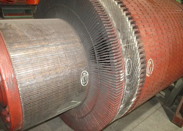 pulizia-generale-e-la-lubrificazione-dei-cuscinetti