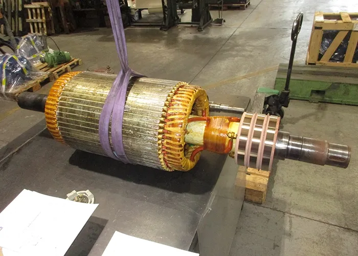 service-di-riavvolgimento-su-motori-elettrici